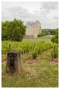 Château de Brissac vu des vignes