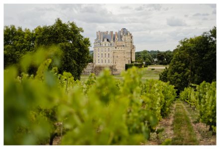 Château de Brissac vu des vignes